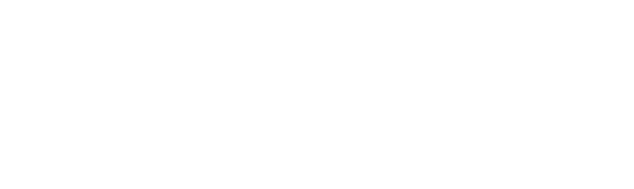 Litigation Financing DAO